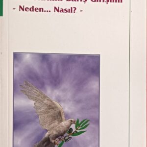 Demokratik Barış Girişimi -Neden...Nasıl?-