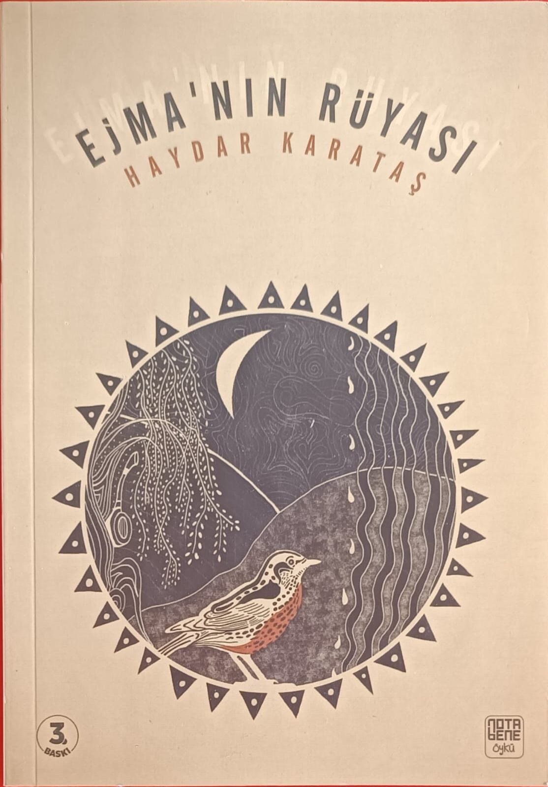 EJMA'NIN RÜYASI